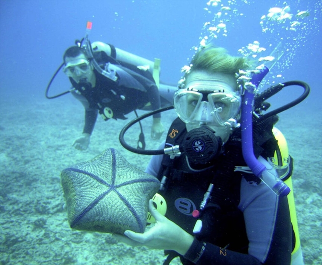 Antalya Tauchtour: Taucherlebnis in der Çaltıcak-Bucht & rund um die Sıçan-Insel für alle Erfahrungsstufen (Transfer ab Kemer–Belek–Boğazköy)