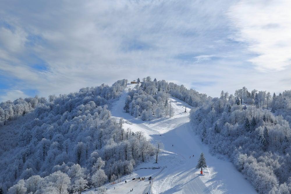 Kartepe